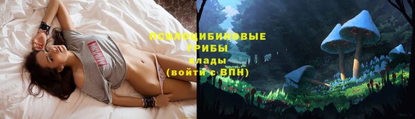 ECSTASY Волоколамск