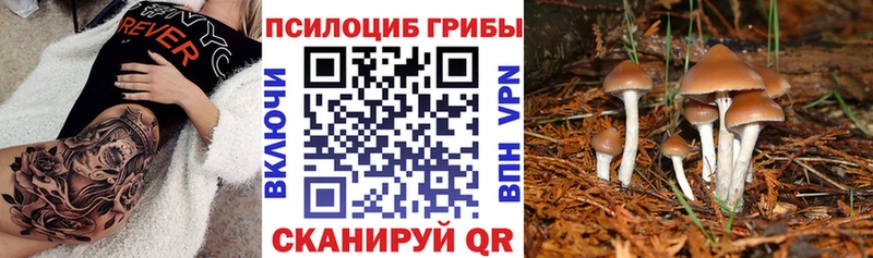 Купить  Белый  Псилоцибиновые грибы мухоморы 